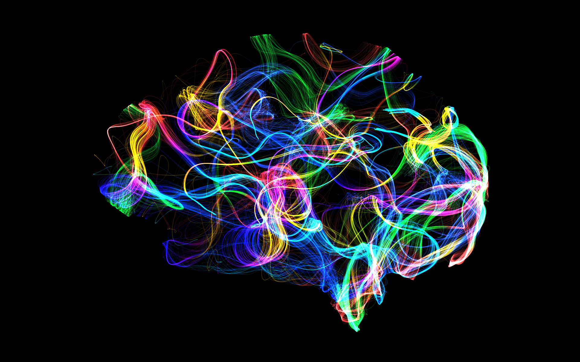 Portrait cérébral NeuroAura — œuvre générée en direct