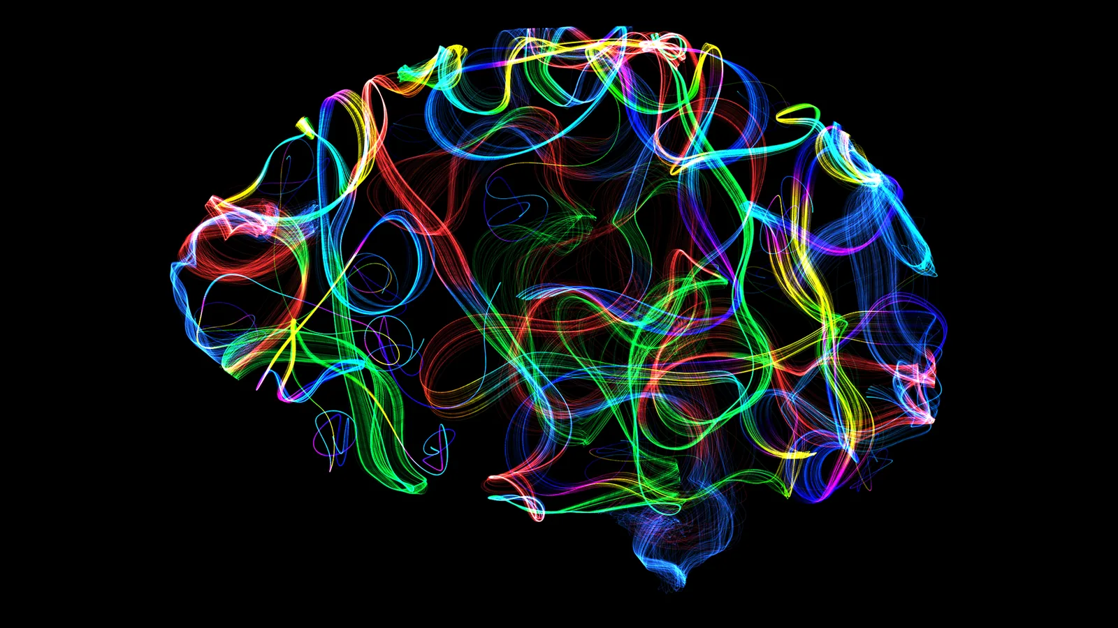 Portrait cérébral NeuroAura — œuvre générée en direct