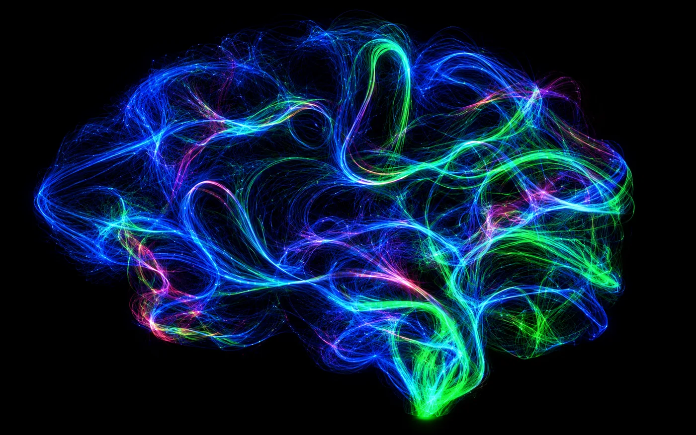Portrait cérébral NeuroAura solo